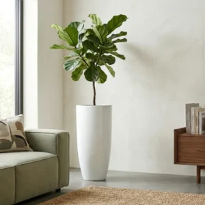 Pure Royal 80×40 cm fehér virágtartó cserép