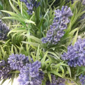 umjetna lavanda buket 33