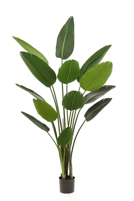 Műnövények 