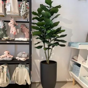 Umjetni Ficus Lyrata smokva v okrasnem loncu Andora