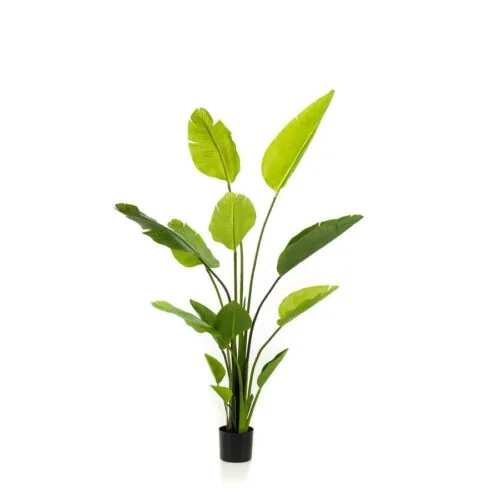 Umjetna Strelicija 150 cm