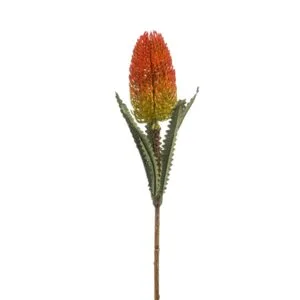 Banksija-grana-72cm-narančasta-1030x1030