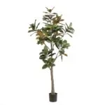 Umjetna-magnolija-180-cm-1030x1030