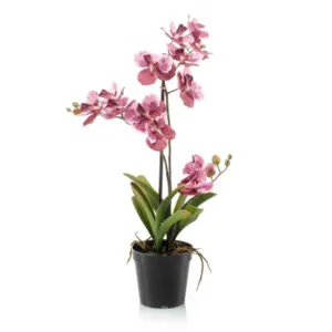 Umjetna orhideja mix pink 70 cm Vanessa