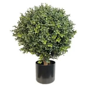 Umetni pušpan na steblu - Bux - Buxus - Kuenstlicher Buchsbaum