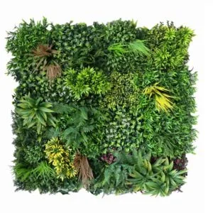 Zeleni zid Mauren 100cm x 100cm