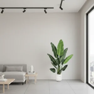 Mű Strelitzia Kimberley 150 cm BONSAI DEKOR