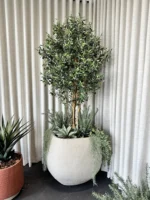 Mű olajfa Paros 180 cm