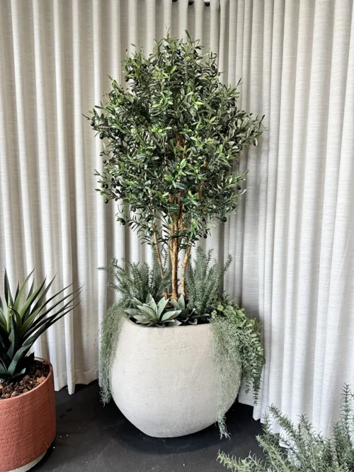 Mű olajfa Paros 180 cm