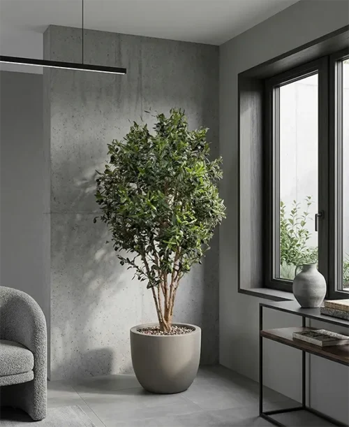 Mű olajfa Paros 180 cm