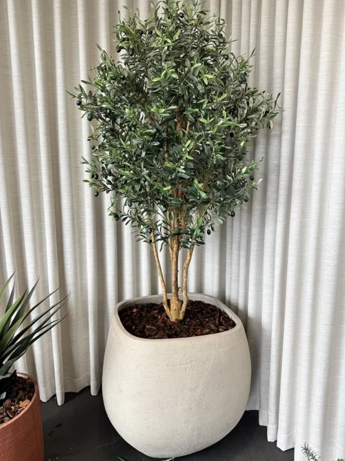 Mű olajfa Paros 180 cm