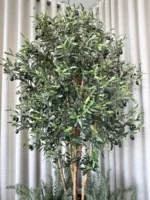 Mű olajfa Paros 180 cm