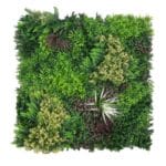 Zöldfal Venezia 100 x 100 cm