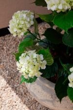 Mesterséges hortenzia 90 cm UV