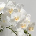 Fehér műorchidea Lia 80 cm (real touch)