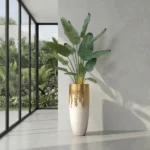 Műanyag Strelícia Pure 180 cm