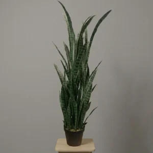 Mű Sansevieria Pure Urban 120 cm