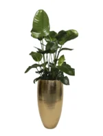 Magas kaspó Selena gold 70 és 90 cm magasságban