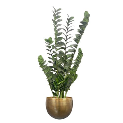 Mesterséges Zamioculcas cserépben 110 cm