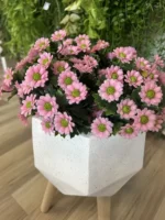 Rózsaszín mű százszorszép 28 cm dekoratív kaspóban