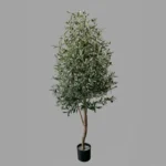 Mű olajfa 170 cm Toscana természetes törzzsel